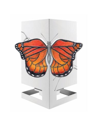 Cardle - Papillon Orange (Butterfly Orange)